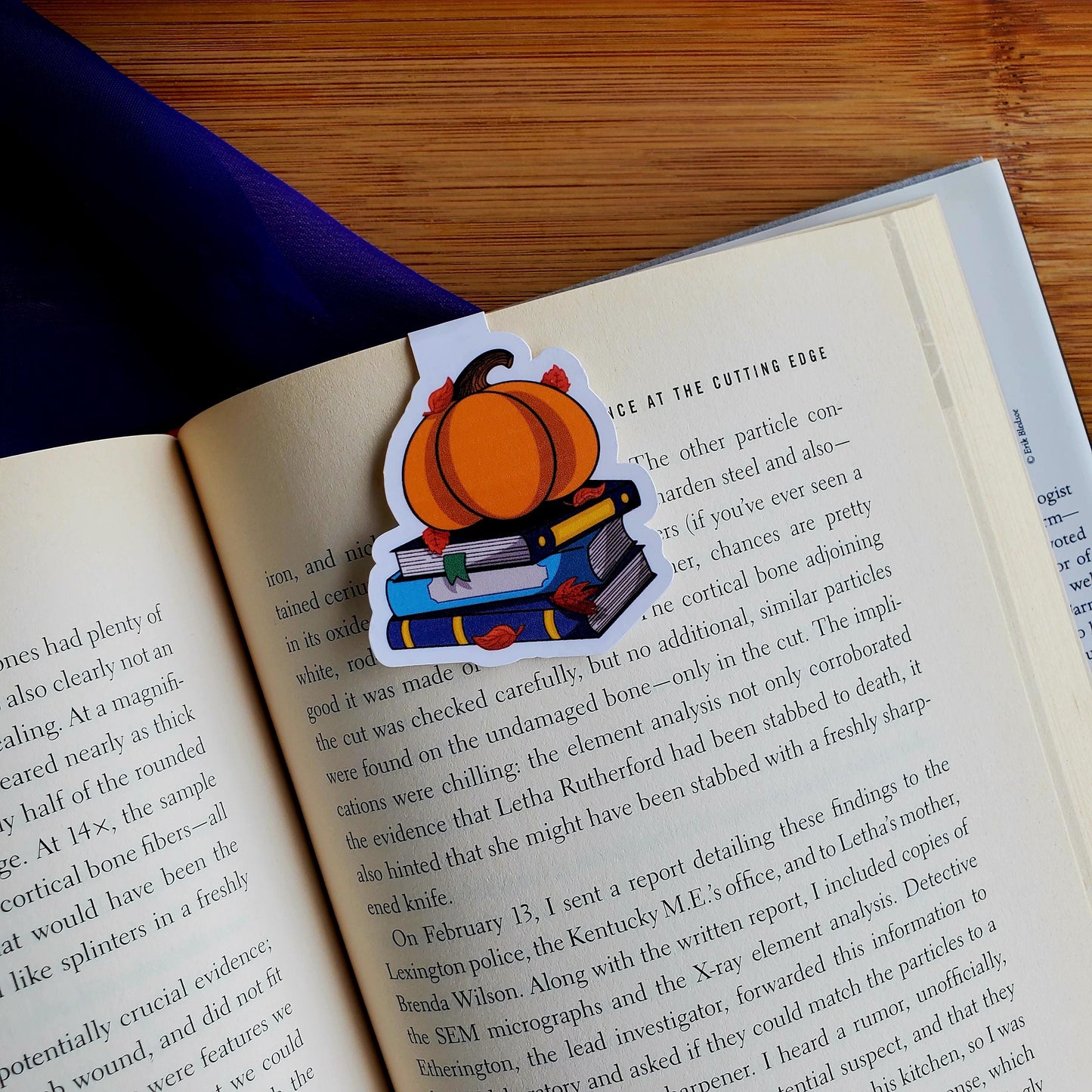 Halloween Magnetic Bookmarks