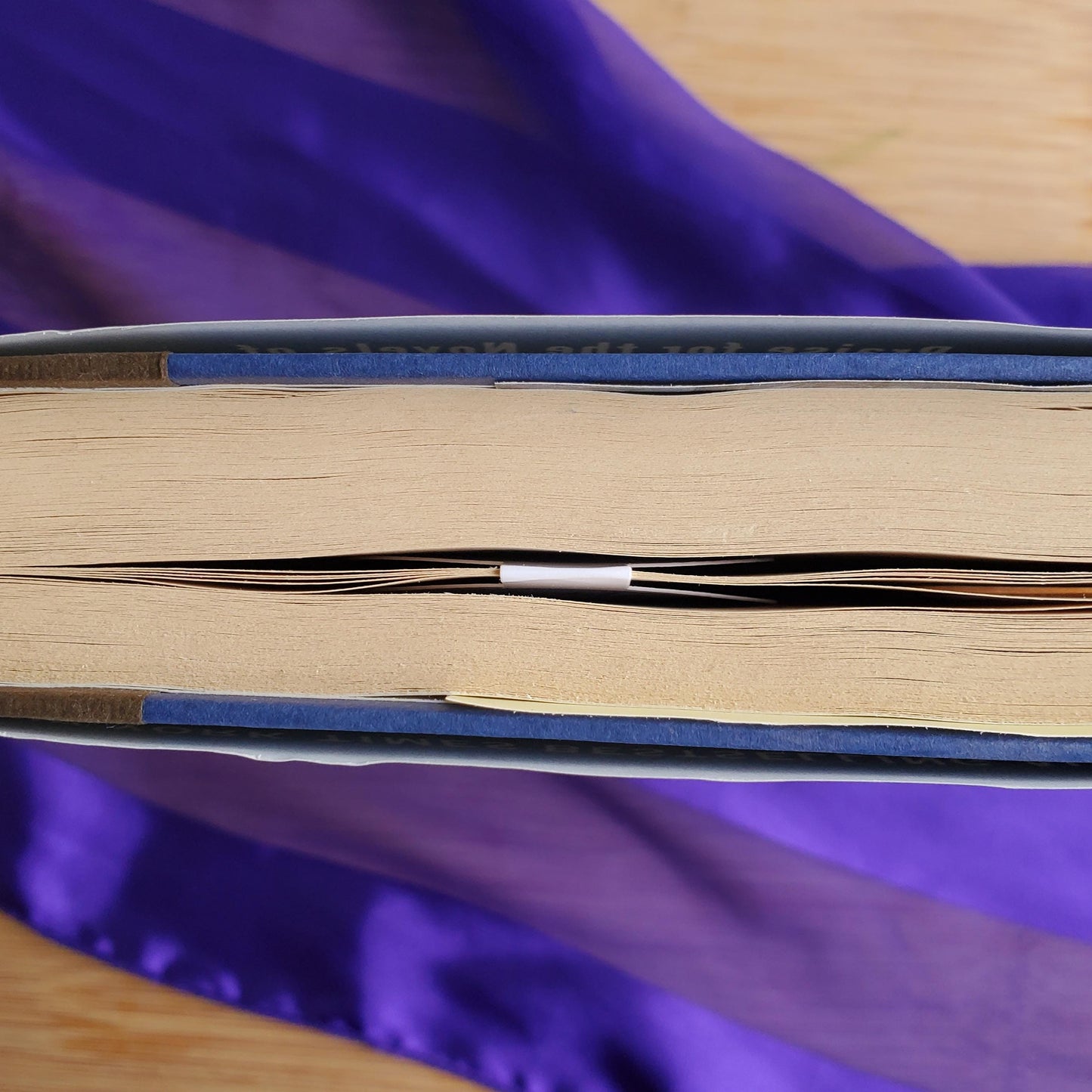 Halloween Magnetic Bookmarks